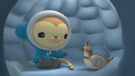 Watch Octonauts: Above & Beyond 