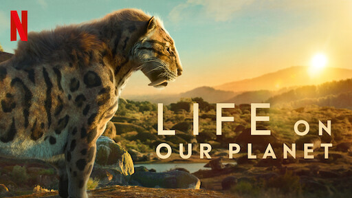 Watch David Attenborough: A Life On Our Planet | Netflix Official Site